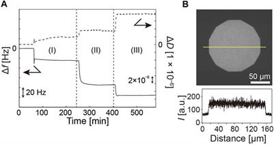 Modulation of viscoelasticity and interfacial potential of polyelectrolyte brush by Ion-specific interactions